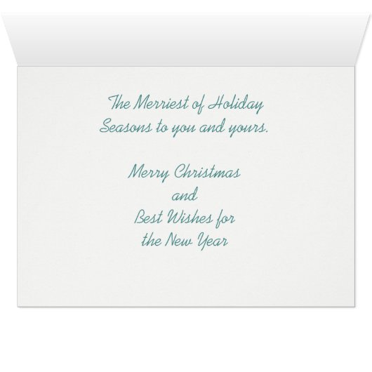 Snowflake Macro Photo Merry Christmas Card (Inside Horizontal (Bottom))