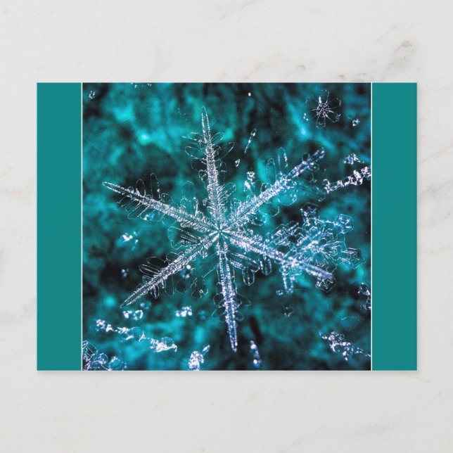 Snowflake on green photo postcard (Front)