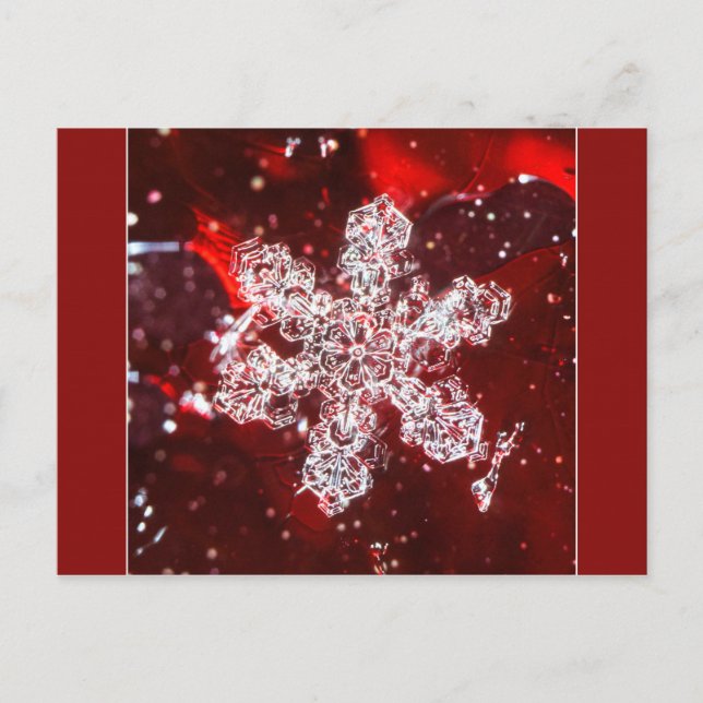 Snowflake photo postcard (Front)