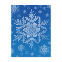 snowflake postcard