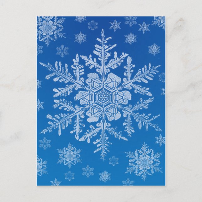 snowflake postcard (Front)