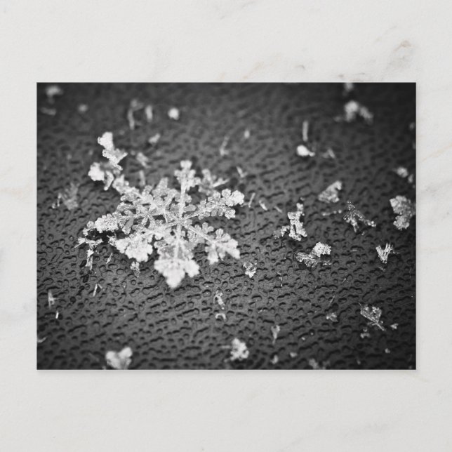 Snowflake Postcard (Front)
