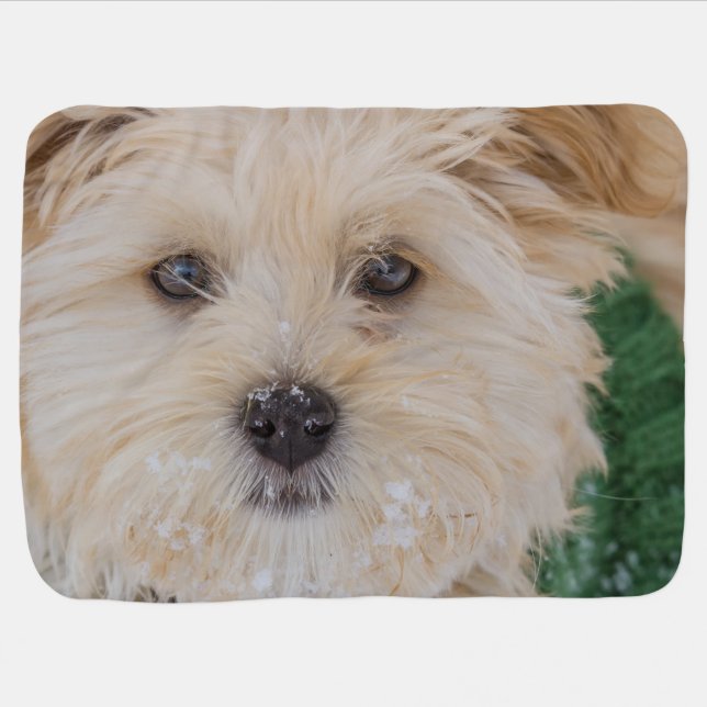 Snowflake Puppy Baby Blanket (Horizontal)