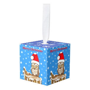 Snowflake the Owl at Christmas Cube Ornament
