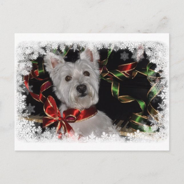 Snowflake Westie Postcard (Front)