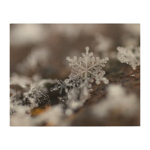 Snowflake wood wall art