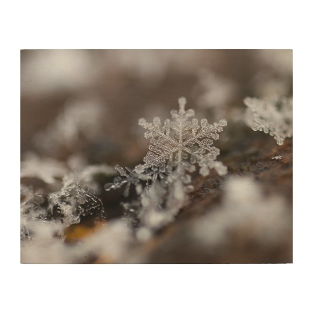 Snowflake wood wall art (Front)