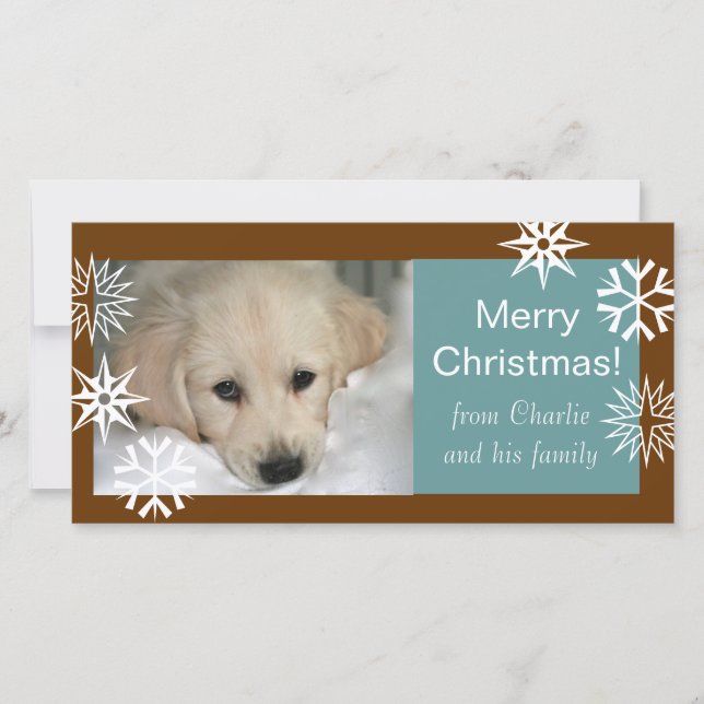 Snowflakes Dog Christmas Photo Cards Brown Blue (Front)