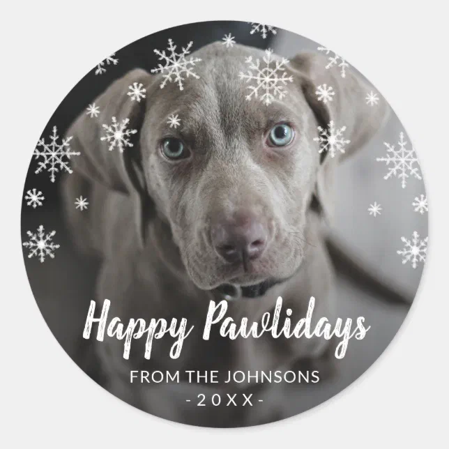 Snowflakes Dog Photo Cute Christmas Classic Round Sticker | Zazzle