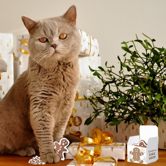 Snowflakes & Gingerbread Cookie Holiday Christmas  Favor Boxes (Creator Uploaded)