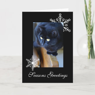Snowflakes Holiday Card