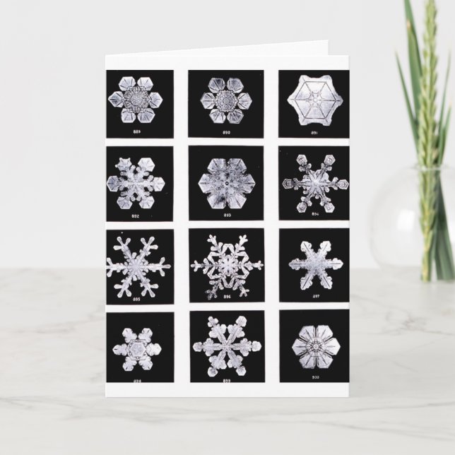 Snowflakes Holiday Card (Front)