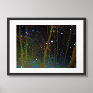 Snowflakes in the Woods Framed Art