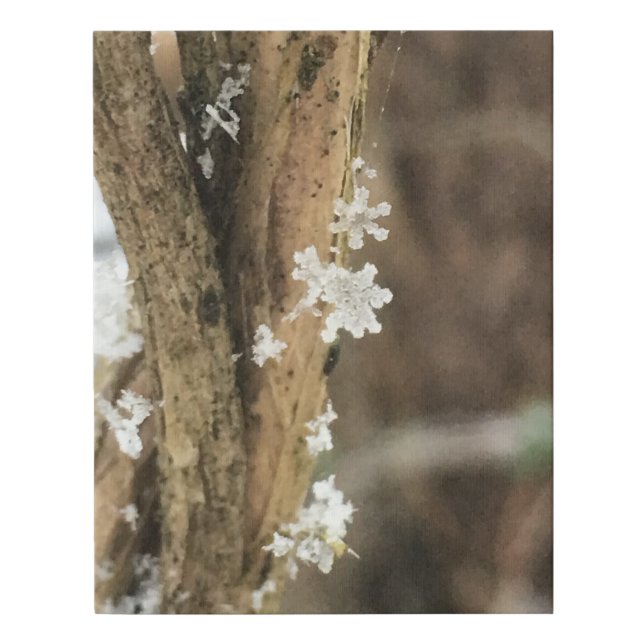 snowflakes on a vine faux canvas print (Front)