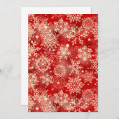 Snowflakes pattern (Front/Back)