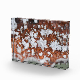 Snowflakes  photo block
