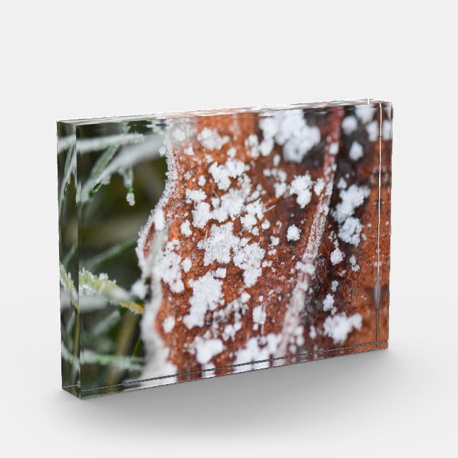Snowflakes  photo block (Left)