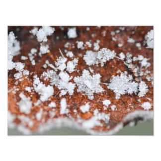 Snowflakes  photo print