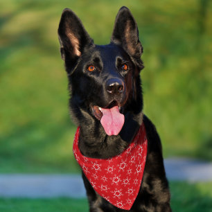 Snowflakes, Red and White Snowflakes, Snow Pet Bandana Collar