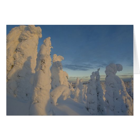 Snowghosts at sunset at Whitefish Mountain 2 (Front Horizontal)