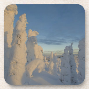 Snowghosts at sunset at Whitefish Mountain 2 Drink Coaster