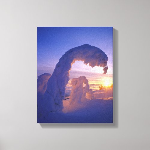 Snowghosts in the Whitefish Range of Montana Canvas Print