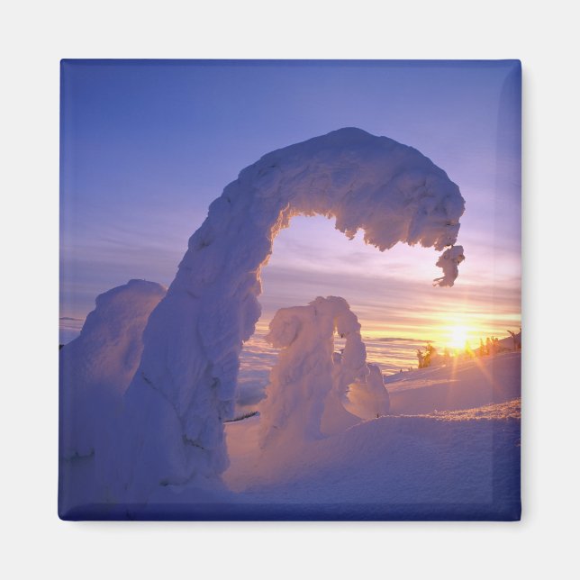 Snowghosts in the Whitefish Range of Montana Magnet (Front)