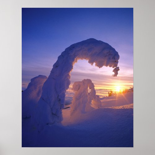 Snowghosts in the Whitefish Range of Montana Poster