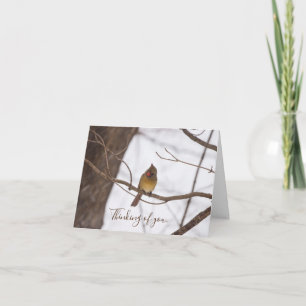 Snowing Again Says Mrs Cardinal Thinking Of You Card