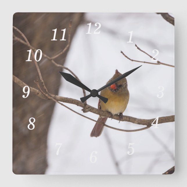 Snowing Again Says Mrs Cardinal Wall Clock (Front)