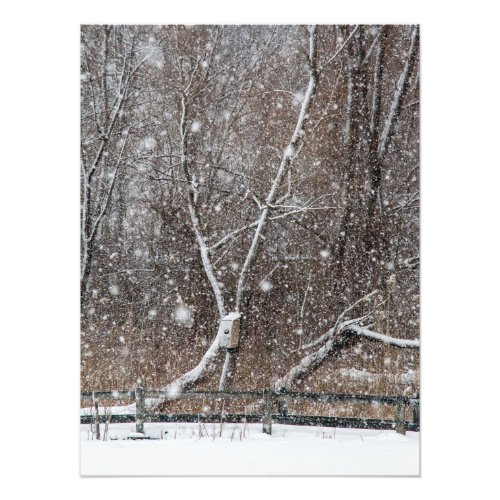 Snowing At the Park Photo Print