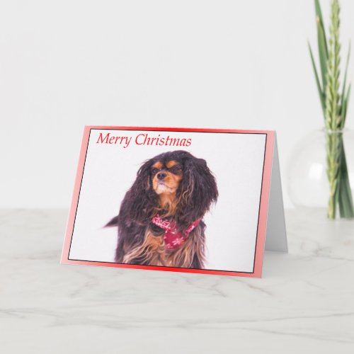 Snowing Cavalier King Charles Spaniel Christmas Holiday Card