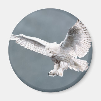 Snowings Magnet