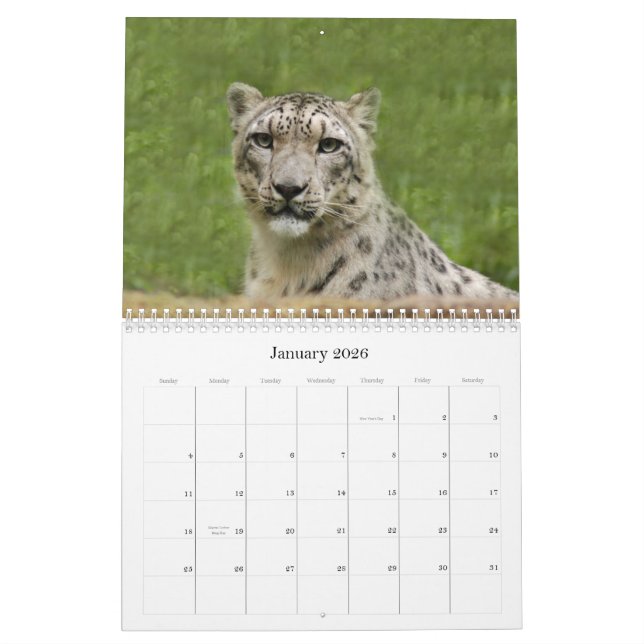 SnowLeopardBCR012, Snow Leopard Calendar (Jan 2026)