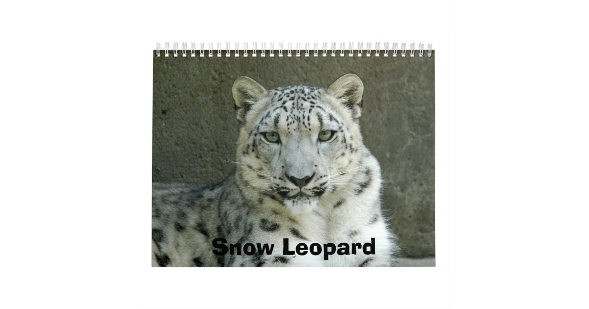 SnowLeopardM002, Snow Leopard Calendar