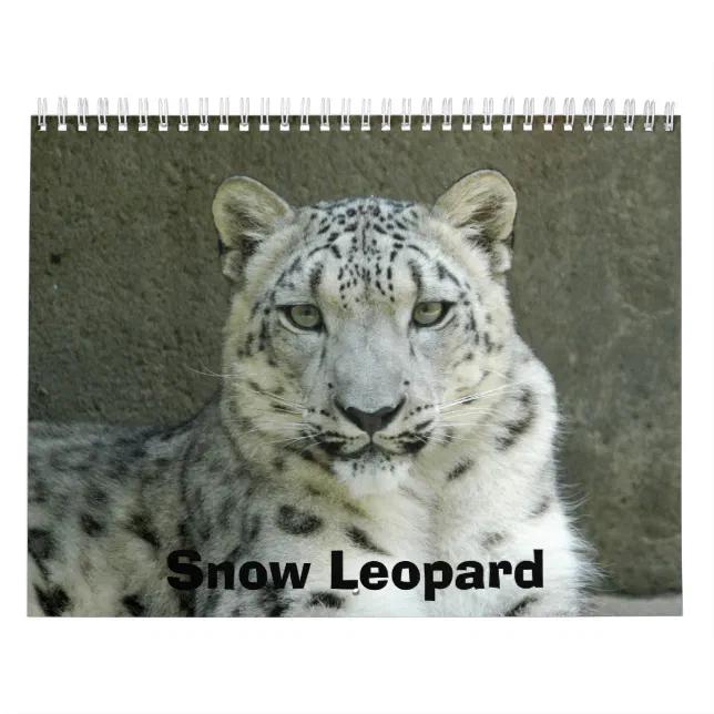 SnowLeopardM002, Snow Leopard Calendar Zazzle