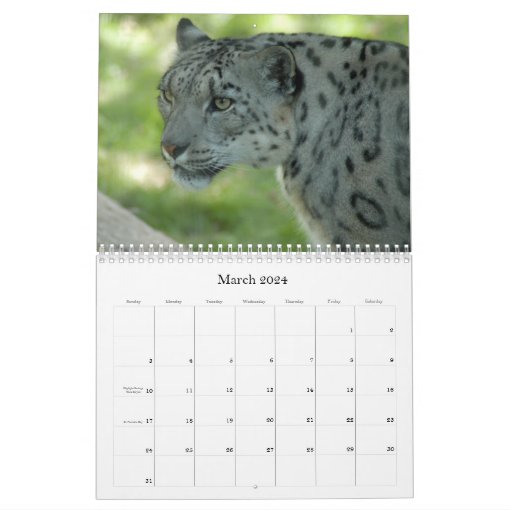 SnowLeopardM002, Snow Leopard Calendar Zazzle