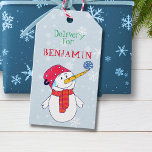Snowman Delivery Christmas Tag for Kids<br><div class="desc">Cute snowman Christmas holiday gift tag for children. Personalize the tag with your text and child`s name. The tag has a snowman with a snowflake on his nose - hoping for snow. The back side is pale blue with beautiful white snowflakes in different sizes and shapes. Make your Christmas gifts...</div>