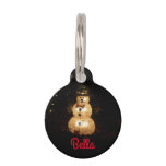 Snowman Holiday Light Display Pet ID Tag