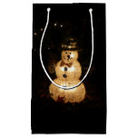 Snowman Holiday Light Display Small Gift Bag