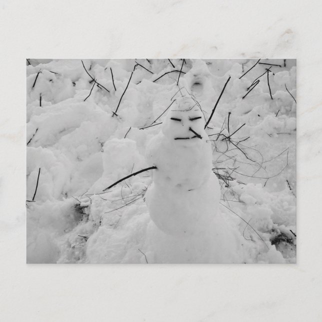 Snowman Photo Postcard (Front)