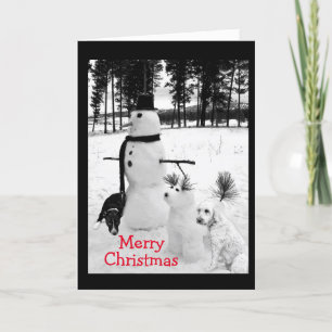SNOWMAN WISHES FOR **YOUNG NIECE** FOR CHRISTMAS HOLIDAY CARD