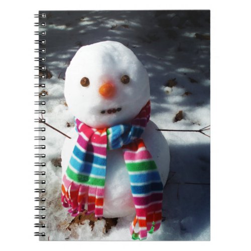 Snowman with Rainbow Striped Scarf Notebook