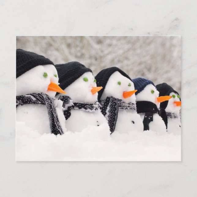 Snowmen Close Up In A Row Postcard (Front)