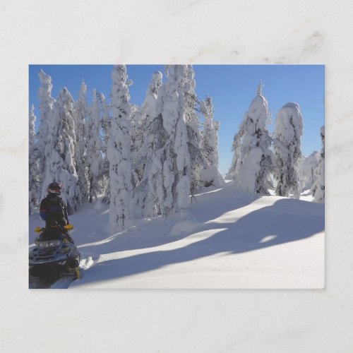 Snowmobiler Winterscape Postcard