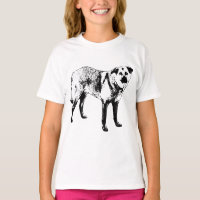 snowpath sentinel, tibetan mix