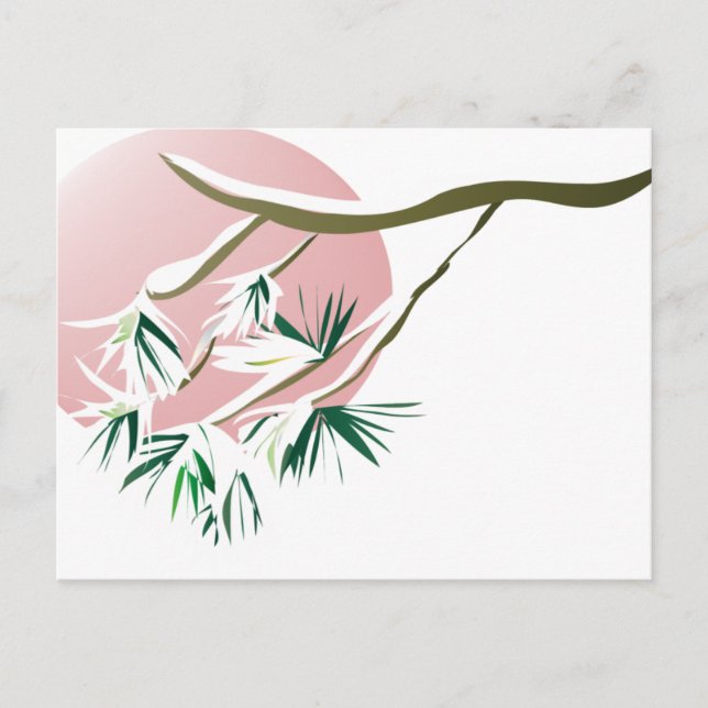 Snowpine Sun Postcard (Front)