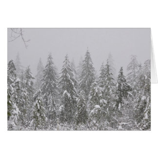 Snow Falling On Trees Snow Falling On Trees