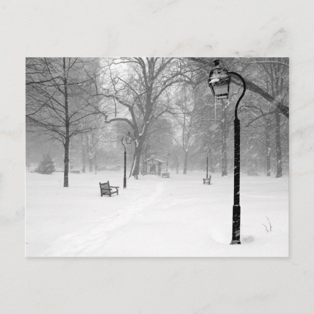 Snowscape II, Philadelphia Postcard (Front)