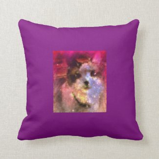 snowshoe aurora borealis kitty throw pillow